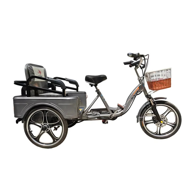 3 Wheel Adult Cargo Electric Bike Boost Long Range 350W 20AH Hide Battery Removable Passenger Electric Tricycle For Senior Woman