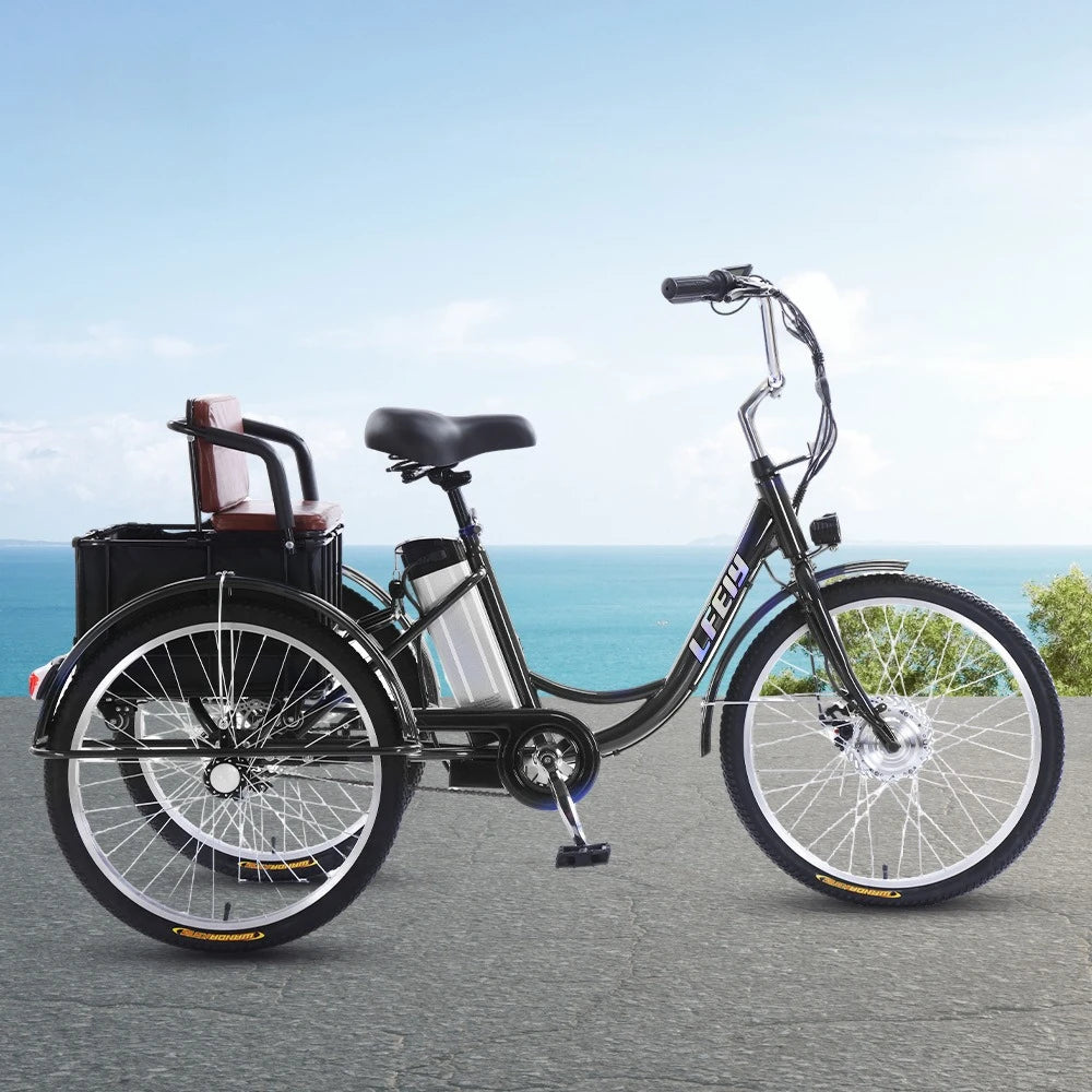 20" Adult Electric Tricycle 2-Seater 3 Wheel Ebike Removable Li-ion Battery Pedal Assist Trike Rear Seat Cargo Box Senior Travel