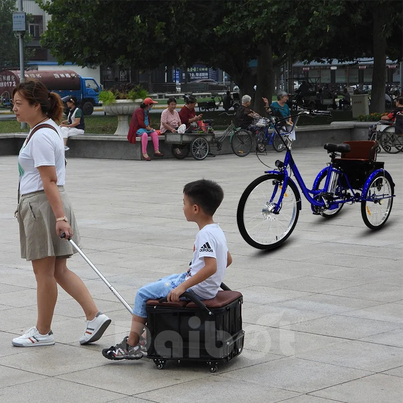 Family Ebike With Kid Seat 3 Wheels For Adults 24Inch Elderly Electric Bike With Cargo Lightweight Electric Bicycle 2 People