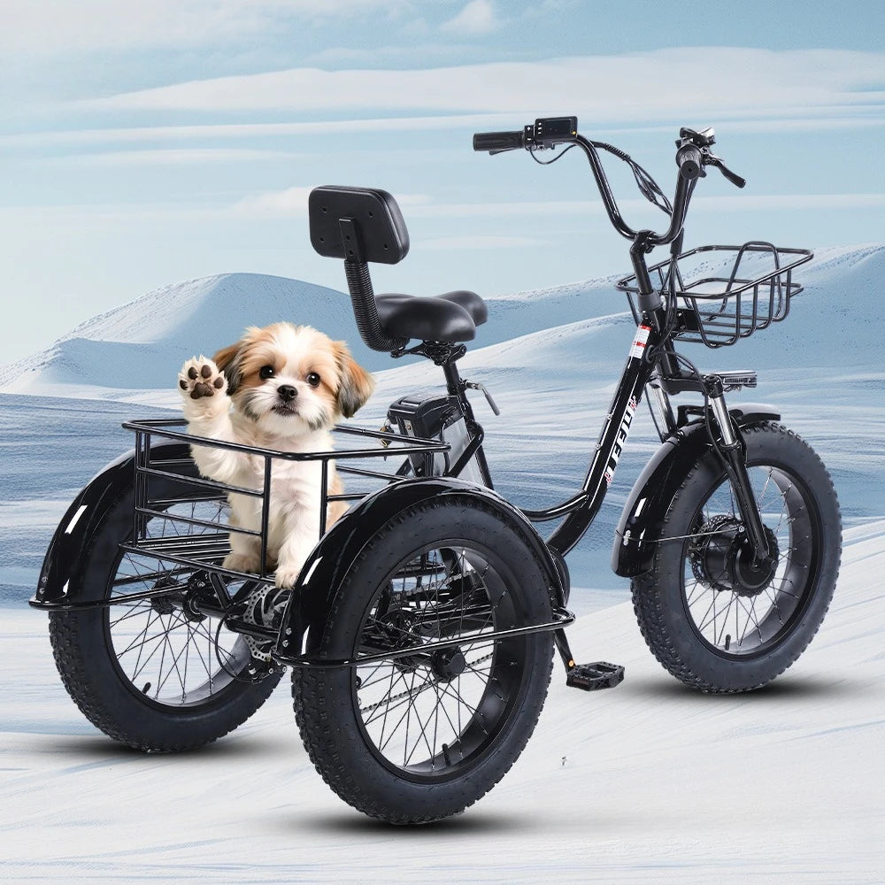 500W Electric Tricycle 20*4.0 Snow Fat Tire 48V13Ah Removable Lithium Battery Three Wheel E Trike with Front &Rear Cargo Baskets