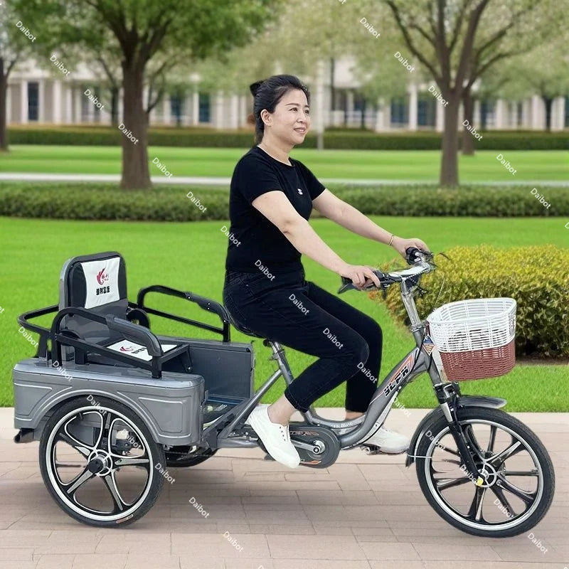 3 Wheel Adult Cargo Electric Bike Boost Long Range 350W 20AH Hide Battery Removable Passenger Electric Tricycle For Senior Woman
