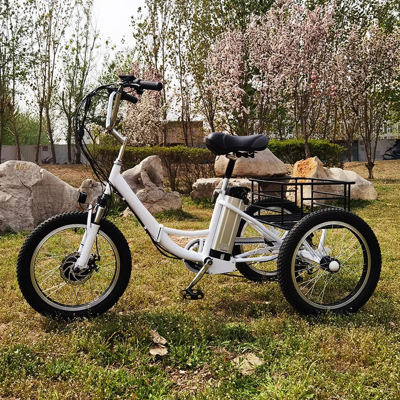 20 Inch Foldable Electric Tricycle 350W Brushless Motor 48V10.4Ah Lithium Battery 40km Max Load 150KG Adult 7Speed Cargo E-Trike