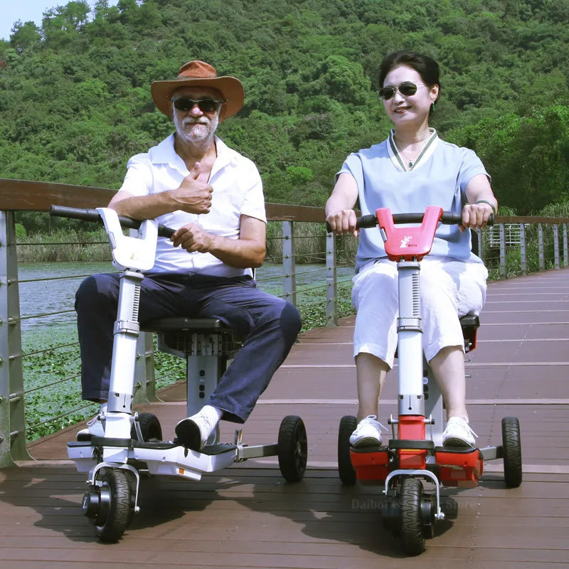 3 Wheel Disability Electric Automatic Folding Removable Battery Adult Small Mobility Scooter Elderly Commuting Electric Tricycle
