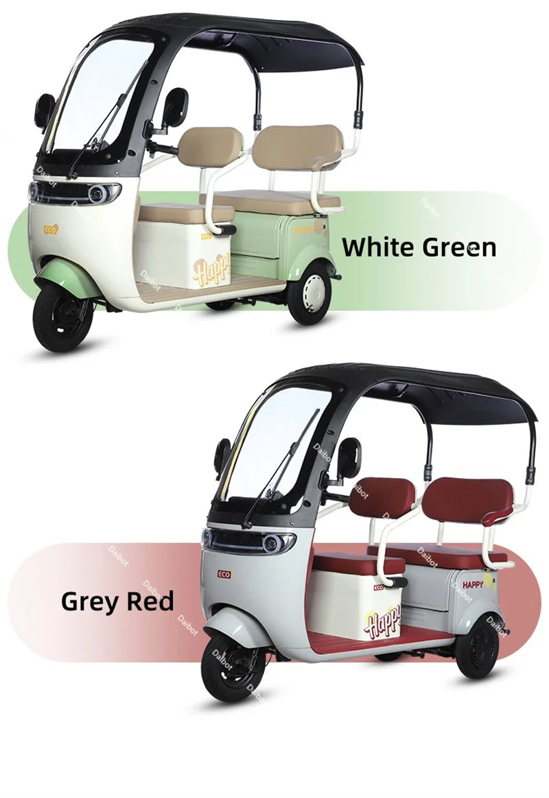 Cargo Electric Tricycle Elderly Mobility Scooter With Passenger Seat For Adult 1000W Family Electric Scooter 3 Wheel With Roof