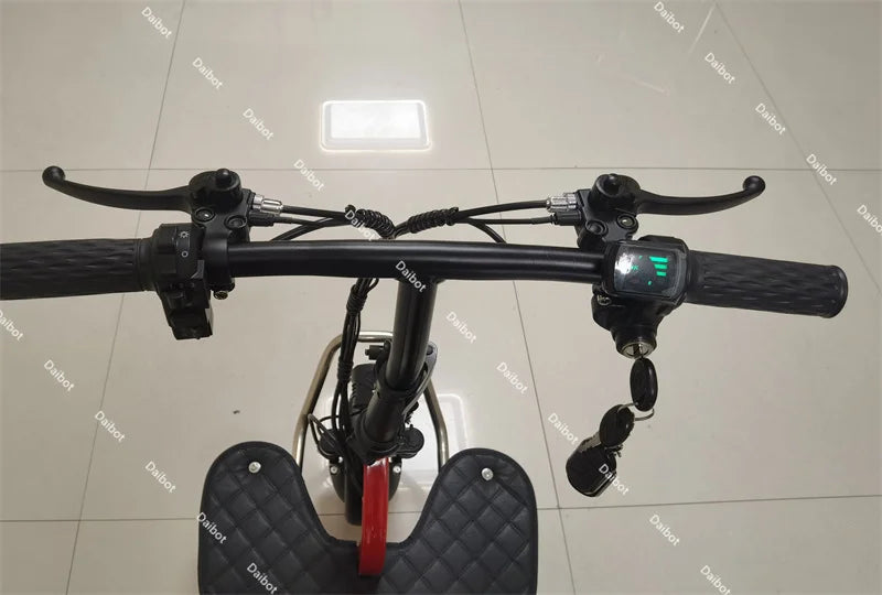 700W Powerful 3 Wheel Mobility Scooter With Seat For Elderly Folding Double Motor Electric Scooter With Pull Rod Luggage Travel