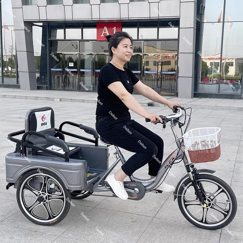 3 Wheel Adult Cargo Electric Bike Boost Long Range 350W 20AH Hide Battery Removable Passenger Electric Tricycle For Senior Woman