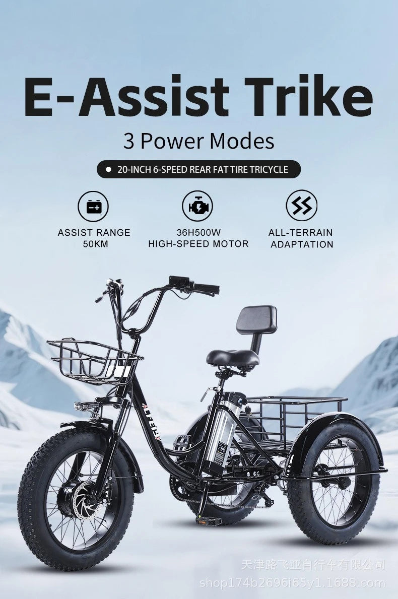 500W Electric Tricycle 20*4.0 Snow Fat Tire 48V13Ah Removable Lithium Battery Three Wheel E Trike with Front &Rear Cargo Baskets