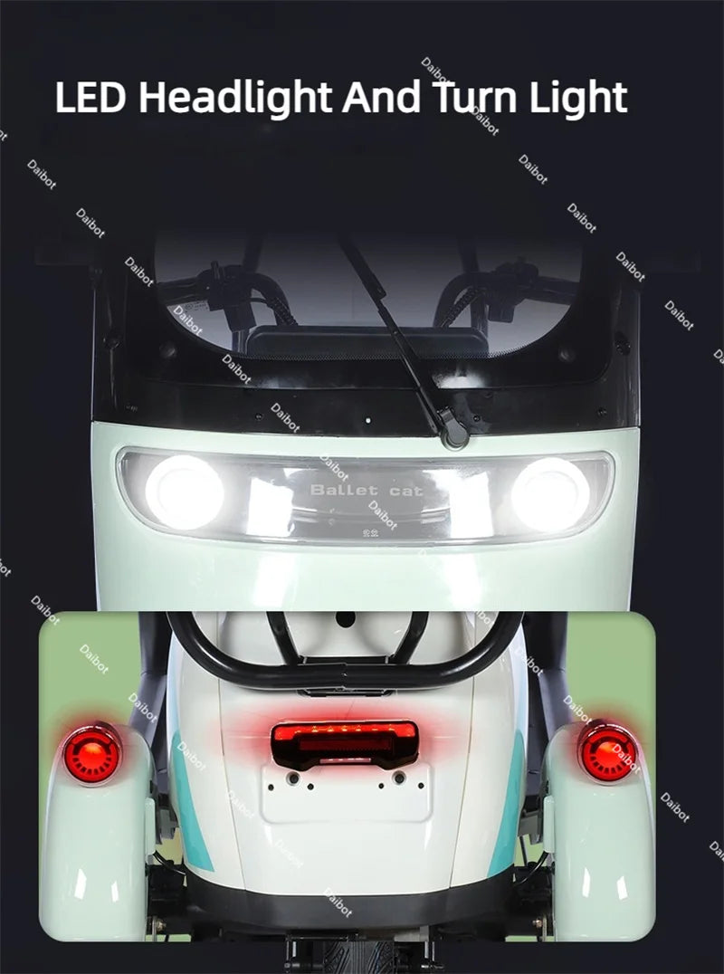 Powerful Electric Tricycle For Adults With Back Seat/Shed 1000W 3 Wheel Electric Mobility Scooter For Senior Battery Removable