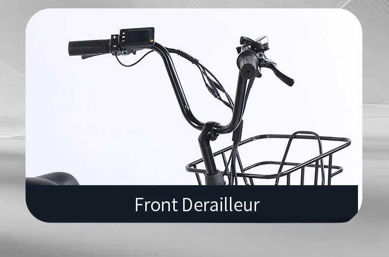 500W Electric Tricycle 20*4.0 Snow Fat Tire 48V13Ah Removable Lithium Battery Three Wheel E Trike with Front &Rear Cargo Baskets