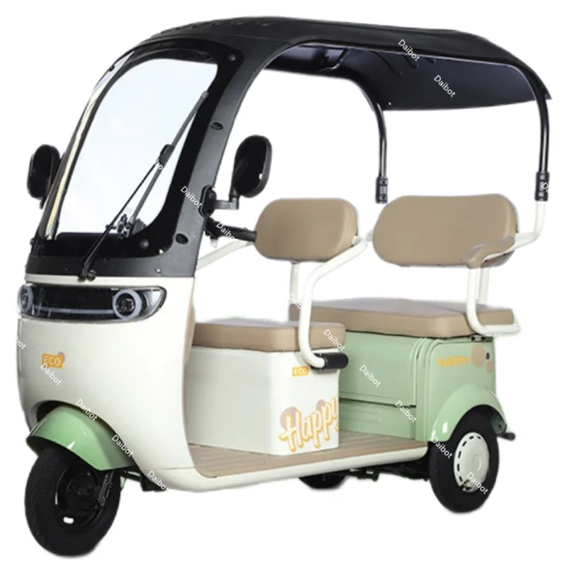 Cargo Electric Tricycle Elderly Mobility Scooter With Passenger Seat For Adult 1000W Family Electric Scooter 3 Wheel With Roof