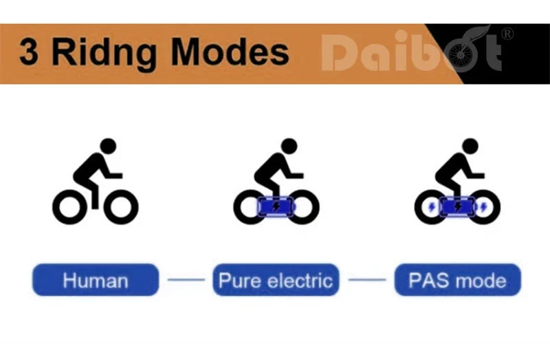 Family Ebike With Kid Seat 3 Wheels For Adults 24Inch Elderly Electric Bike With Cargo Lightweight Electric Bicycle 2 People