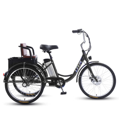 20" Adult Electric Tricycle 2-Seater 3 Wheel Ebike Removable Li-ion Battery Pedal Assist Trike Rear Seat Cargo Box Senior Travel