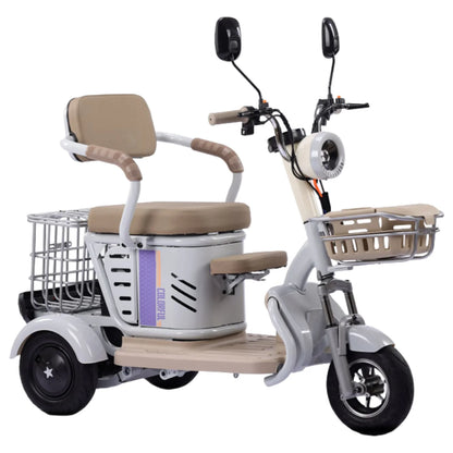 Large Capacity Basket 600W High Power Adult Flowing Electric Tricycle Household Elderly Leisure Small Disabled Mobility Scooter