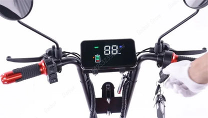 3 Wheels Electric Scooter For Adults Foldable Armrest/Mirror 1000W 48V 20Ah Electric Tricycle For Elderly Removable Battery