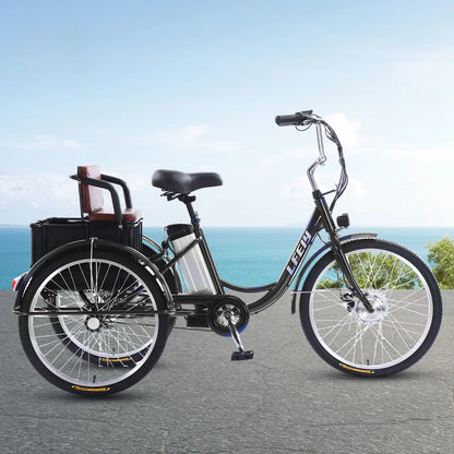 20" Adult Electric Tricycle 2-Seater 3 Wheel Ebike Removable Li-ion Battery Pedal Assist Trike Rear Seat Cargo Box Senior Travel