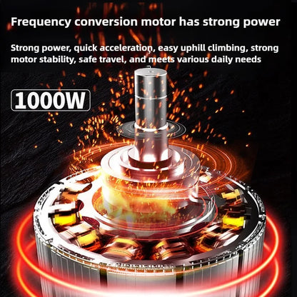 Adult 1200W High Power Motor Passenger and Cargo Electric Tricycle Lithium Household Front and Rear Shock Absorption System