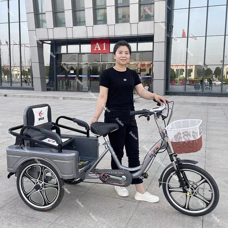 3 Wheel Adult Cargo Electric Bike Boost Long Range 350W 20AH Hide Battery Removable Passenger Electric Tricycle For Senior Woman