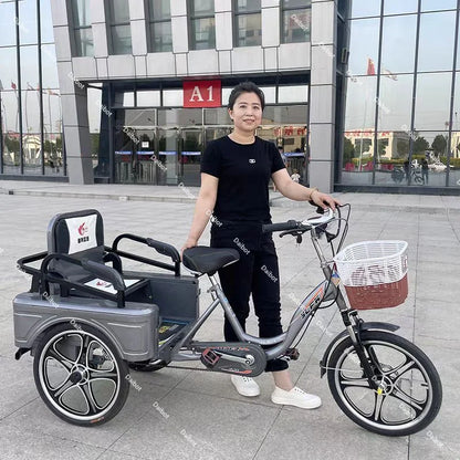 3 Wheel Adult Cargo Electric Bike Boost Long Range 350W 20AH Hide Battery Removable Passenger Electric Tricycle For Senior Woman