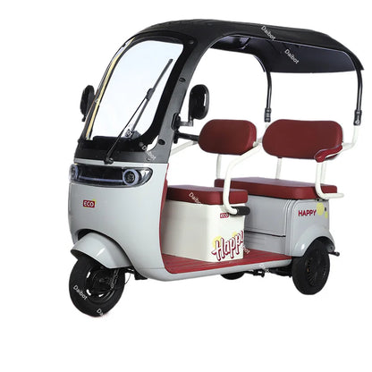 Cargo Electric Tricycle Elderly Mobility Scooter With Passenger Seat For Adult 1000W Family Electric Scooter 3 Wheel With Roof