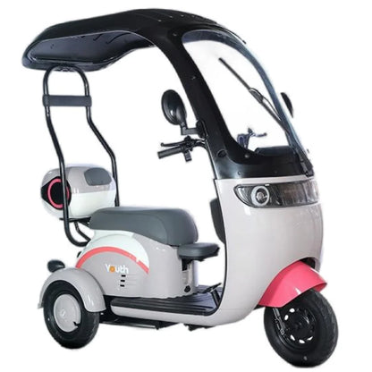 Powerful Electric Tricycle For Adults With Back Seat/Shed 1000W 3 Wheel Electric Mobility Scooter For Senior Battery Removable