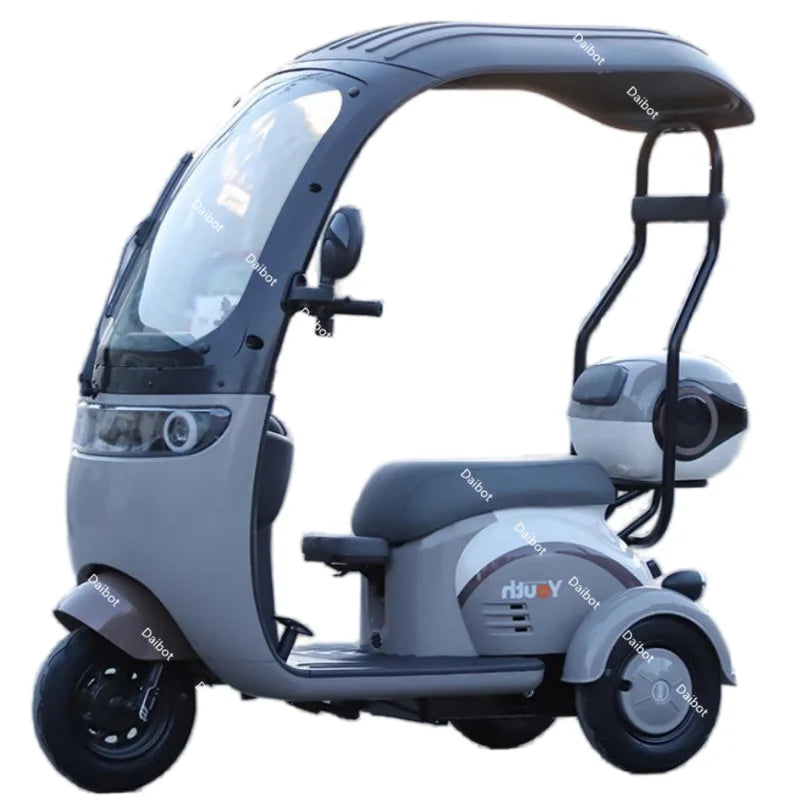 Powerful Electric Tricycle For Adults With Back Seat/Shed 1000W 3 Wheel Electric Mobility Scooter For Senior Battery Removable