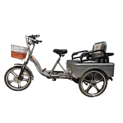 3 Wheel Adult Cargo Electric Bike Boost Long Range 350W 20AH Hide Battery Removable Passenger Electric Tricycle For Senior Woman