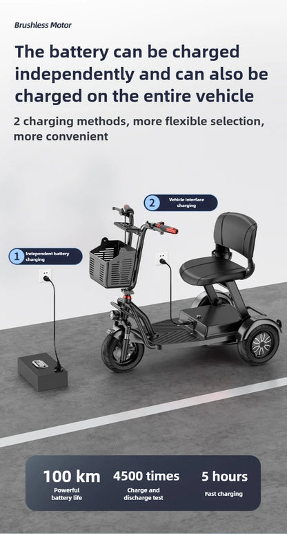 Disabled Commuting Mobility Scooter Mini Small Elderly Leisure Electric Bike Folding Removable Lithium Battery Electric Tricycle