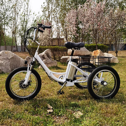 20 Inch Foldable Electric Tricycle 350W Brushless Motor 48V10.4Ah Lithium Battery 40km Max Load 150KG Adult 7Speed Cargo E-Trike