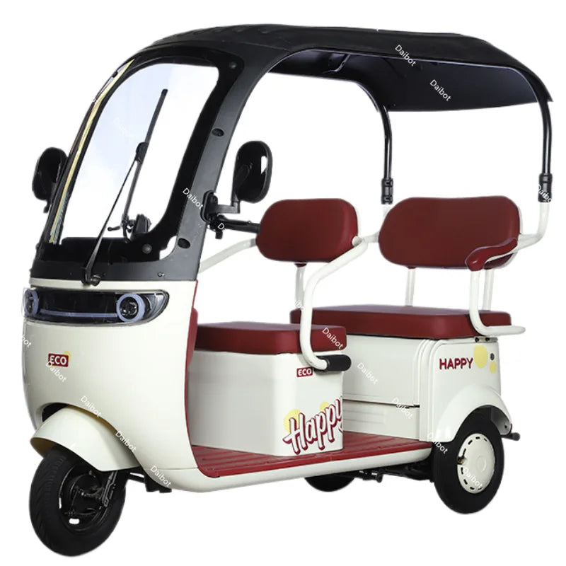 Cargo Electric Tricycle Elderly Mobility Scooter With Passenger Seat For Adult 1000W Family Electric Scooter 3 Wheel With Roof
