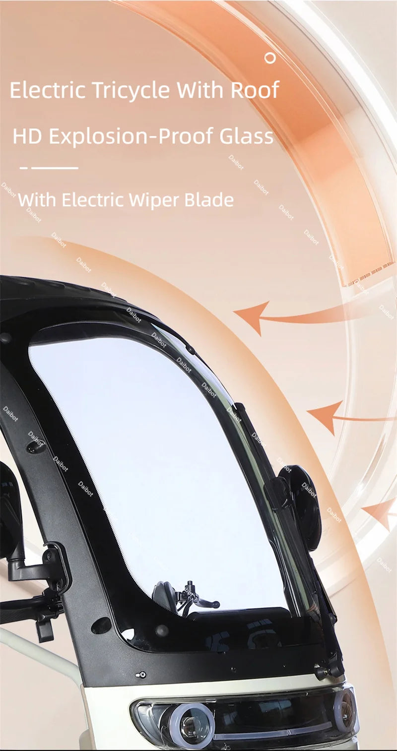 Cargo Electric Tricycle Elderly Mobility Scooter With Passenger Seat For Adult 1000W Family Electric Scooter 3 Wheel With Roof