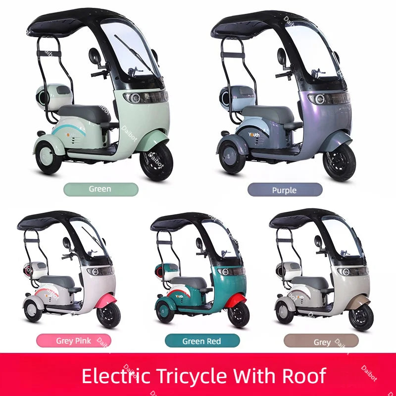 Powerful Electric Tricycle For Adults With Back Seat/Shed 1000W 3 Wheel Electric Mobility Scooter For Senior Battery Removable