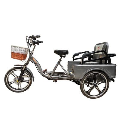 3 Wheel Adult Cargo Electric Bike Boost Long Range 350W 20AH Hide Battery Removable Passenger Electric Tricycle For Senior Woman