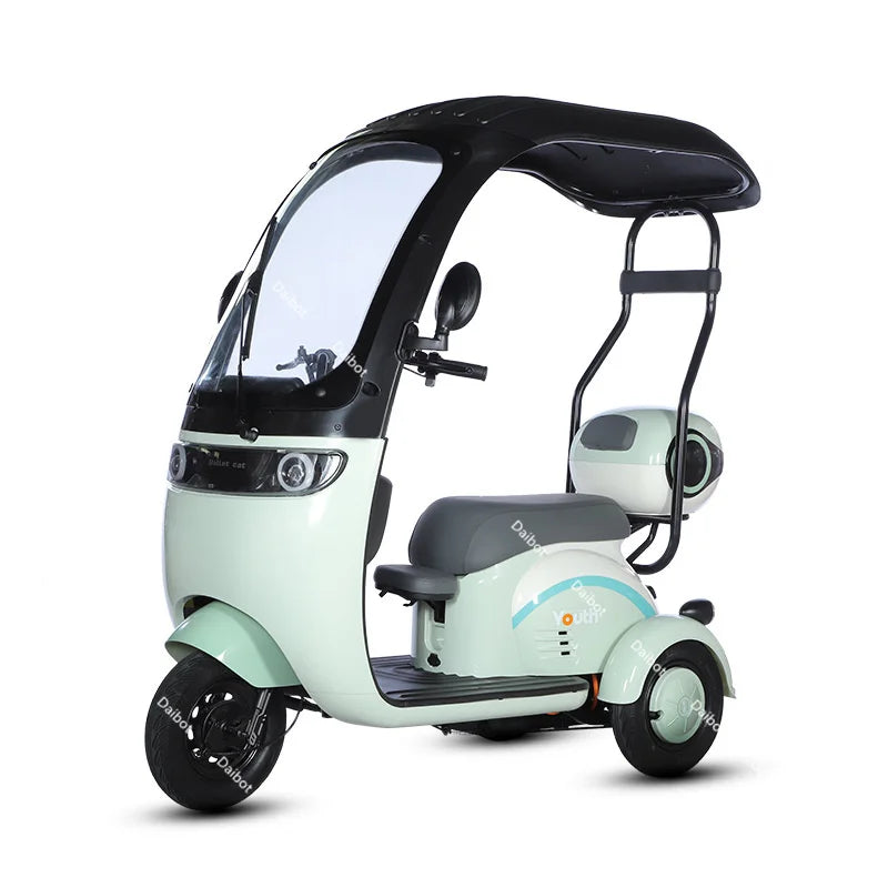 Powerful Electric Tricycle For Adults With Back Seat/Shed 1000W 3 Wheel Electric Mobility Scooter For Senior Battery Removable
