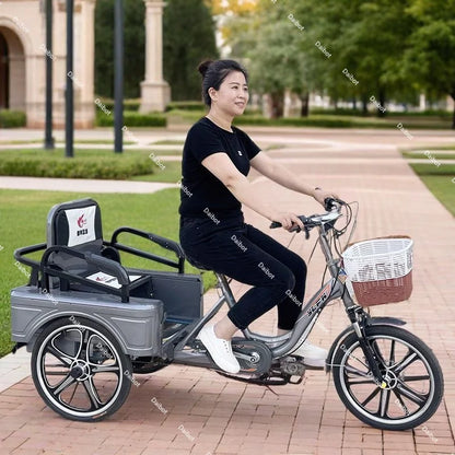 3 Wheel Adult Cargo Electric Bike Boost Long Range 350W 20AH Hide Battery Removable Passenger Electric Tricycle For Senior Woman