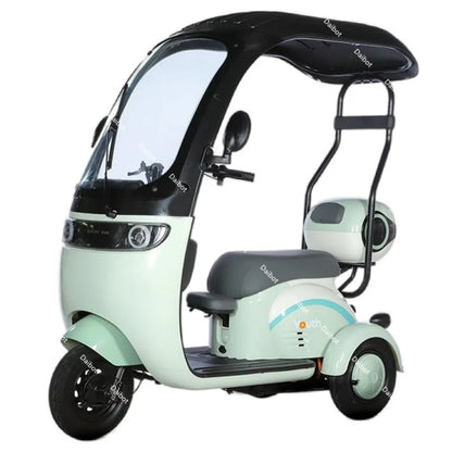Powerful Electric Tricycle For Adults With Back Seat/Shed 1000W 3 Wheel Electric Mobility Scooter For Senior Battery Removable