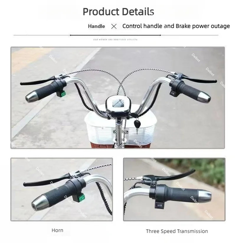 3 Wheel Adult Cargo Electric Bike Boost Long Range 350W 20AH Hide Battery Removable Passenger Electric Tricycle For Senior Woman