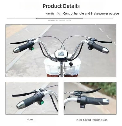3 Wheel Adult Cargo Electric Bike Boost Long Range 350W 20AH Hide Battery Removable Passenger Electric Tricycle For Senior Woman