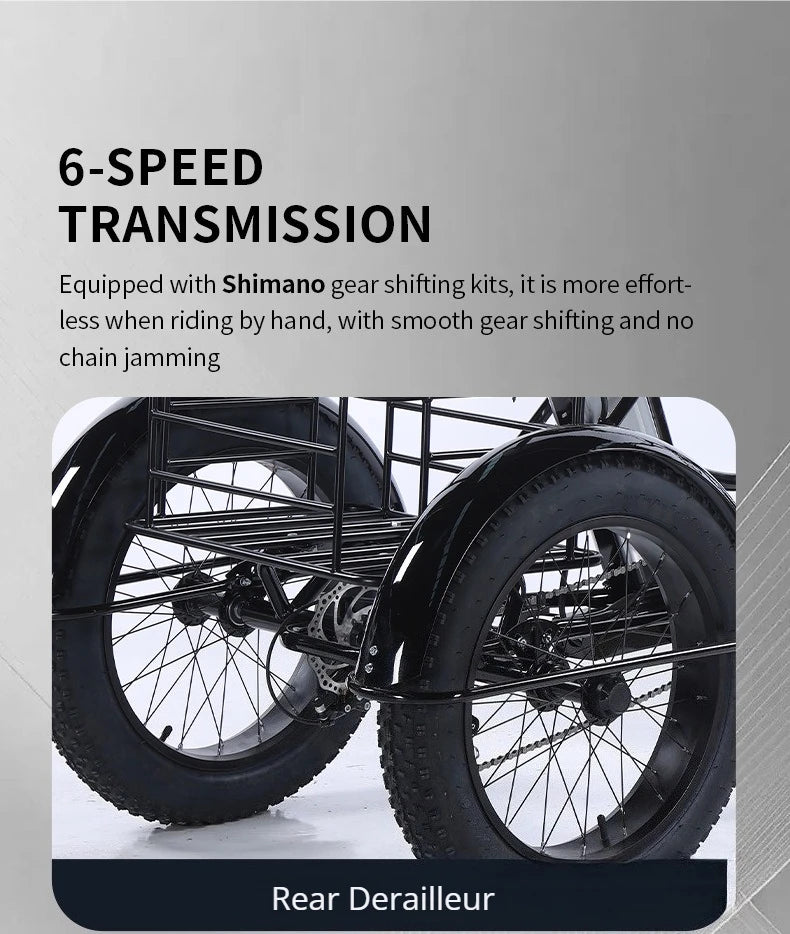 500W Electric Tricycle 20*4.0 Snow Fat Tire 48V13Ah Removable Lithium Battery Three Wheel E Trike with Front &Rear Cargo Baskets