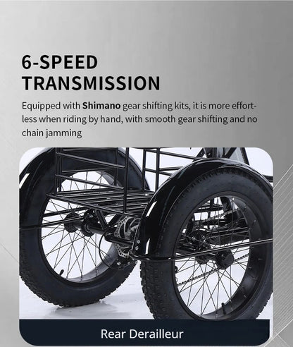 500W Electric Tricycle 20*4.0 Snow Fat Tire 48V13Ah Removable Lithium Battery Three Wheel E Trike with Front &Rear Cargo Baskets