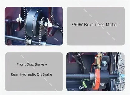 3 Wheel Adult Cargo Electric Bike Boost Long Range 350W 20AH Hide Battery Removable Passenger Electric Tricycle For Senior Woman