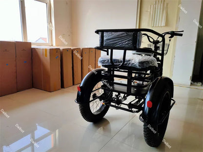 500W 48V Fat Tire Adults 3 Wheel Electric Tricycle With Passenger Seat/Rear Basket Removable Battery Electric Bike For 2 People