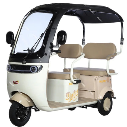 Cargo Electric Tricycle Elderly Mobility Scooter With Passenger Seat For Adult 1000W Family Electric Scooter 3 Wheel With Roof