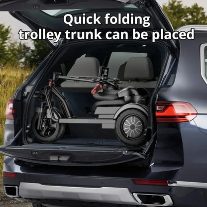 Disabled Commuting Mobility Scooter Mini Small Elderly Leisure Electric Bike Folding Removable Lithium Battery Electric Tricycle