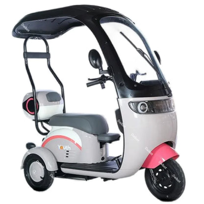 Powerful Electric Tricycle For Adults With Back Seat/Shed 1000W 3 Wheel Electric Mobility Scooter For Senior Battery Removable
