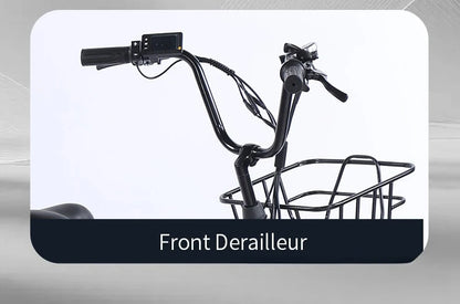 500W Electric Tricycle 20*4.0 Snow Fat Tire 48V13Ah Removable Lithium Battery Three Wheel E Trike with Front &Rear Cargo Baskets