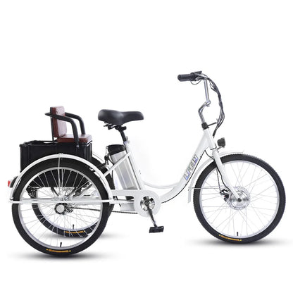 20" Adult Electric Tricycle 2-Seater 3 Wheel Ebike Removable Li-ion Battery Pedal Assist Trike Rear Seat Cargo Box Senior Travel