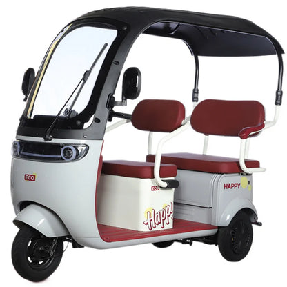 Cargo Electric Tricycle Elderly Mobility Scooter With Passenger Seat For Adult 1000W Family Electric Scooter 3 Wheel With Roof