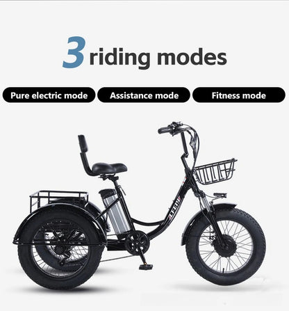 500W Electric Tricycle 20*4.0 Snow Fat Tire 48V13Ah Removable Lithium Battery Three Wheel E Trike with Front &Rear Cargo Baskets