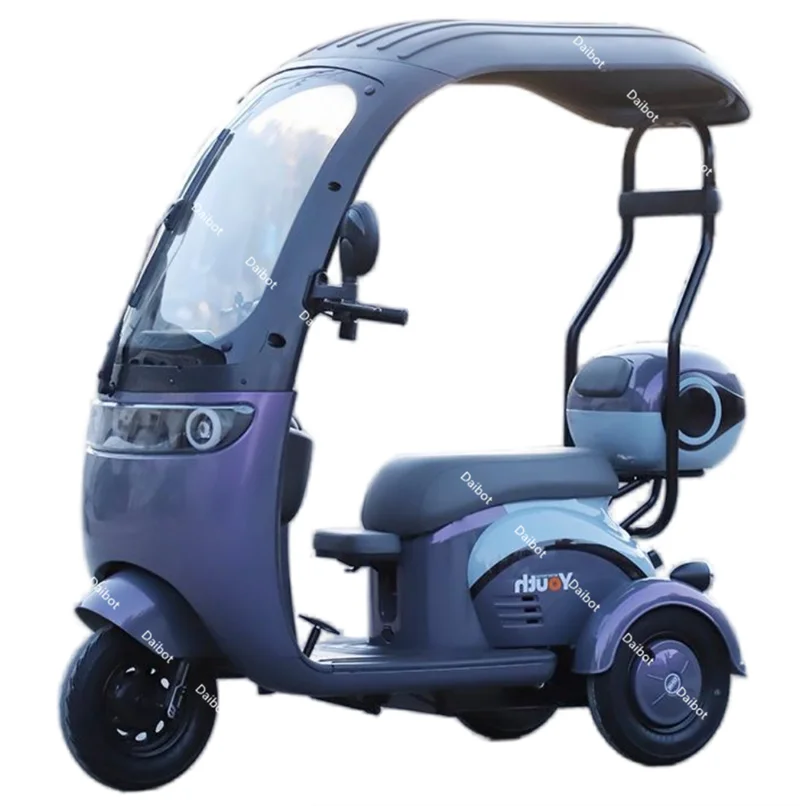 Powerful Electric Tricycle For Adults With Back Seat/Shed 1000W 3 Wheel Electric Mobility Scooter For Senior Battery Removable