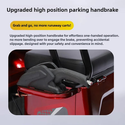 Adult 1200W High Power Motor Passenger and Cargo Electric Tricycle Lithium Household Front and Rear Shock Absorption System
